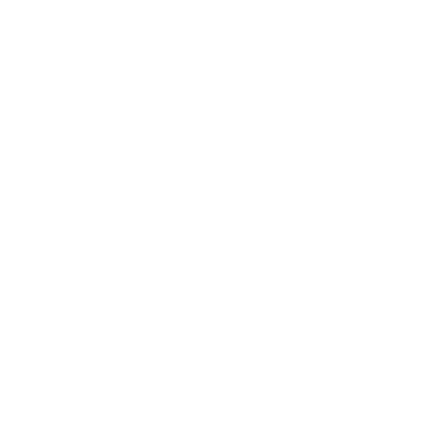 GIN FEST ARROWTOWN logo